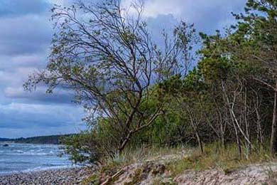 VALORANT 选手竞技状态持续火爆，valorant战绩