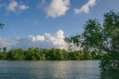 广东宏远连续夺冠纪录备受关注，广东宏远队总冠军领奖画面