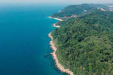 广东宏远连续夺冠纪录备受关注，广东宏远队总冠军领奖画面