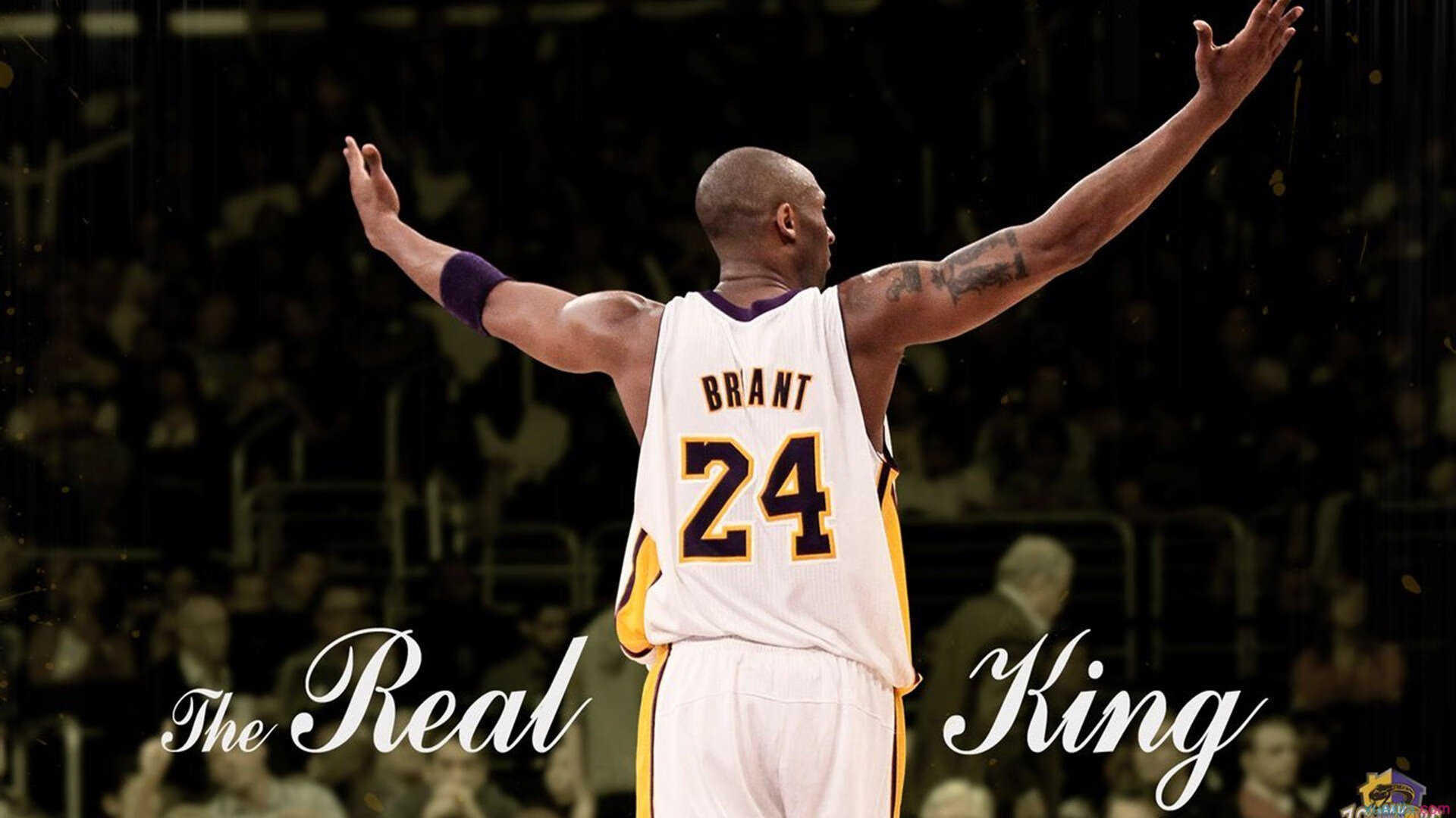 布鲁诺·卡博克洛在NBA夏季联赛中展现领导力，ufc布洛克vs卡尔文